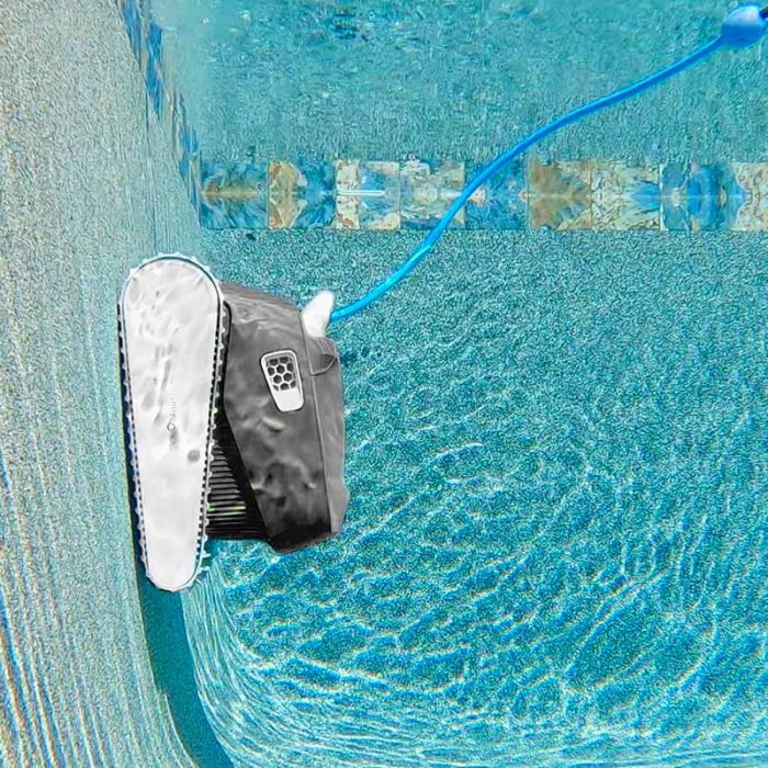 Robot piscina dolphin-maytronics mr40 in acqua